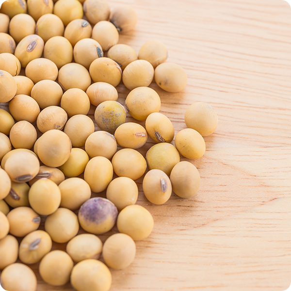 SOYBEANS