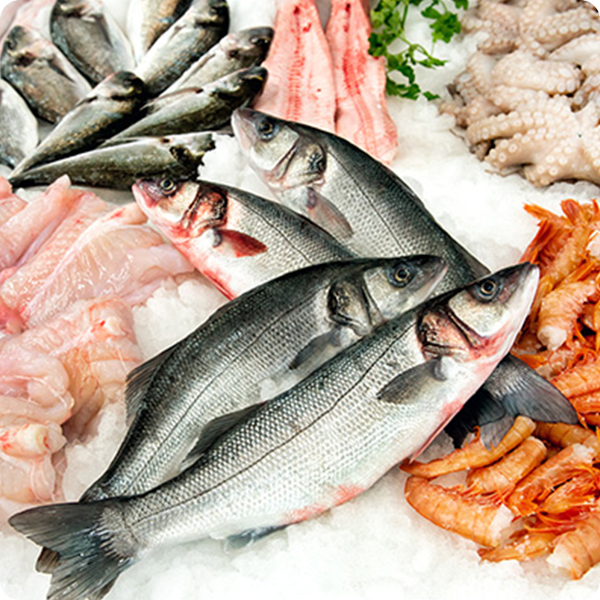 Seafood –Fish, Crab, Lobster