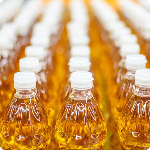 Sunflower Oil