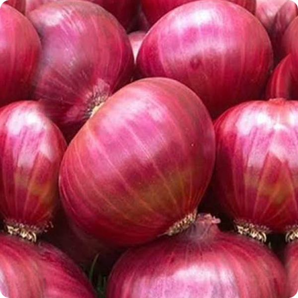 Onion