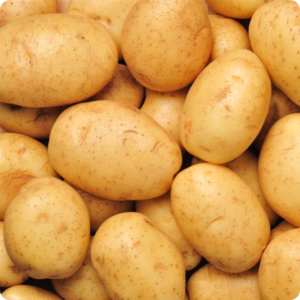 Potato