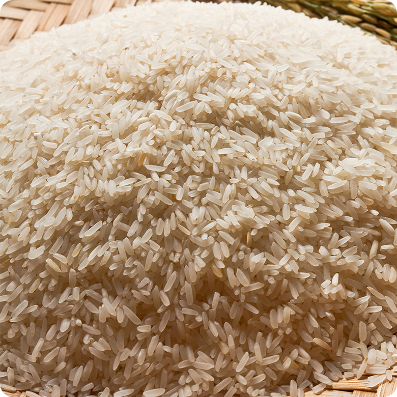 RICE 