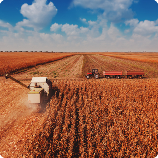 Farm